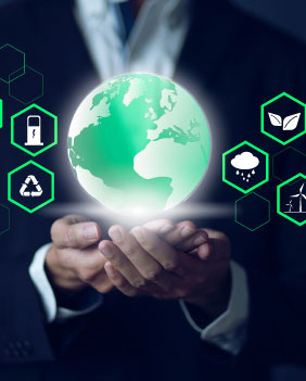 Envisioning Sustainable Digital Transformation